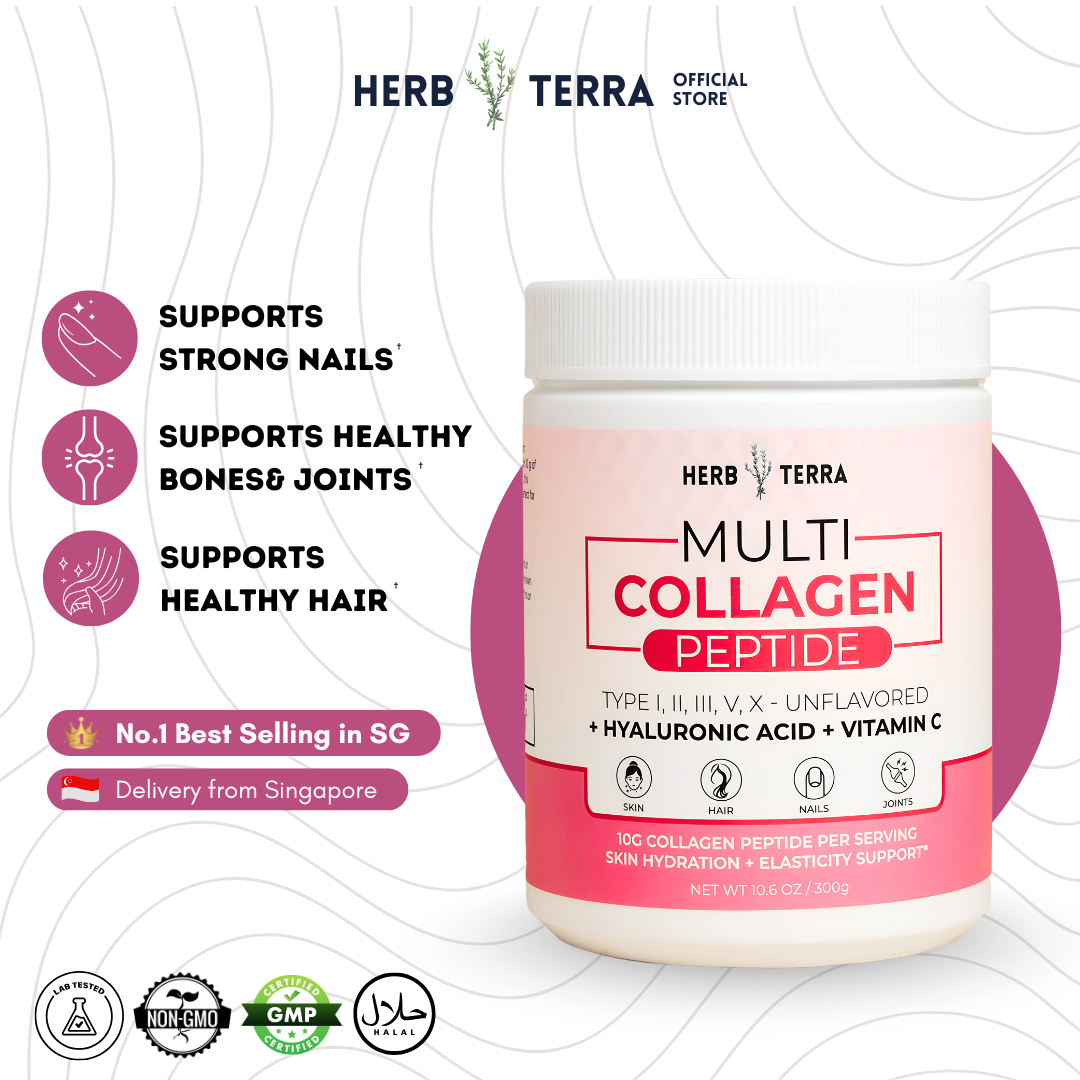 Herb Terra Multi Collagen Peptide supplement container with benefits listed on a white background