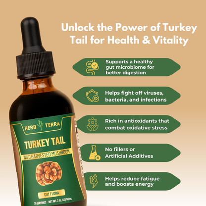 Turkey Tail Mushroom Drops