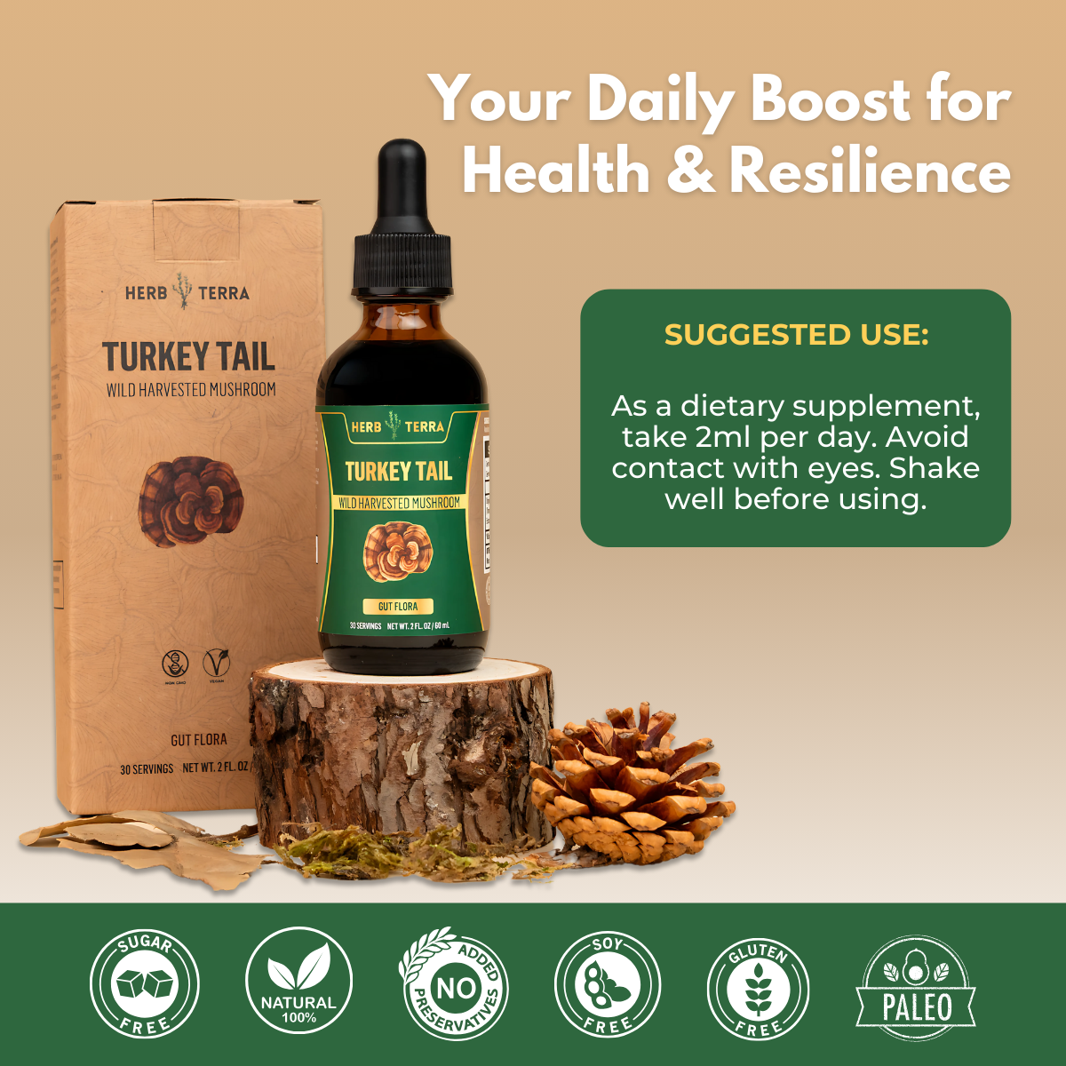 Turkey Tail Mushroom Drops