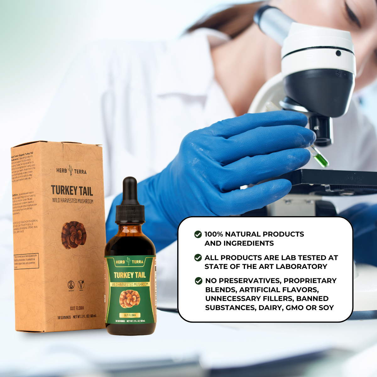 Turkey Tail Mushroom Drops