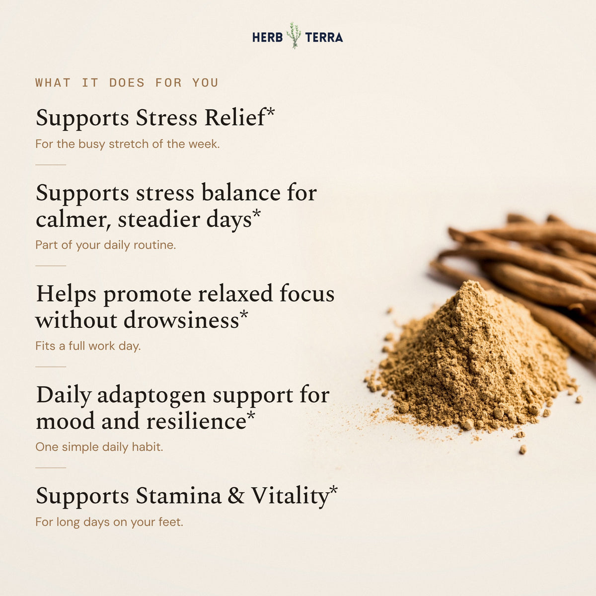 Herb Terra Ashwagandha Capsules 120 veg capsules: ashwagandha root and powder beside daily benefits list