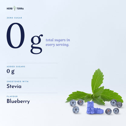 Herb Terra Ashwagandha Gummies 60 gummies: zero sugar, stevia sweetened, blueberry flavour