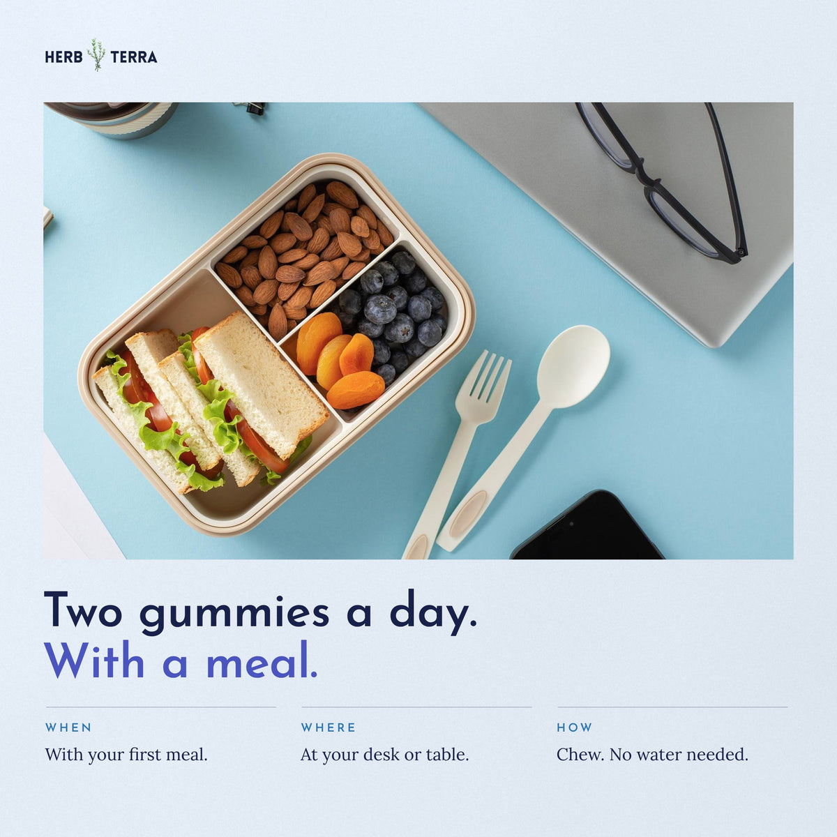 Herb Terra Ashwagandha Gummies 60 gummies: how to take, two gummies with a meal