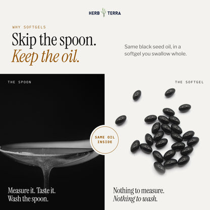 Herb Terra Black Seed Oil 120 softgels: softgels compared with a spoon of oil