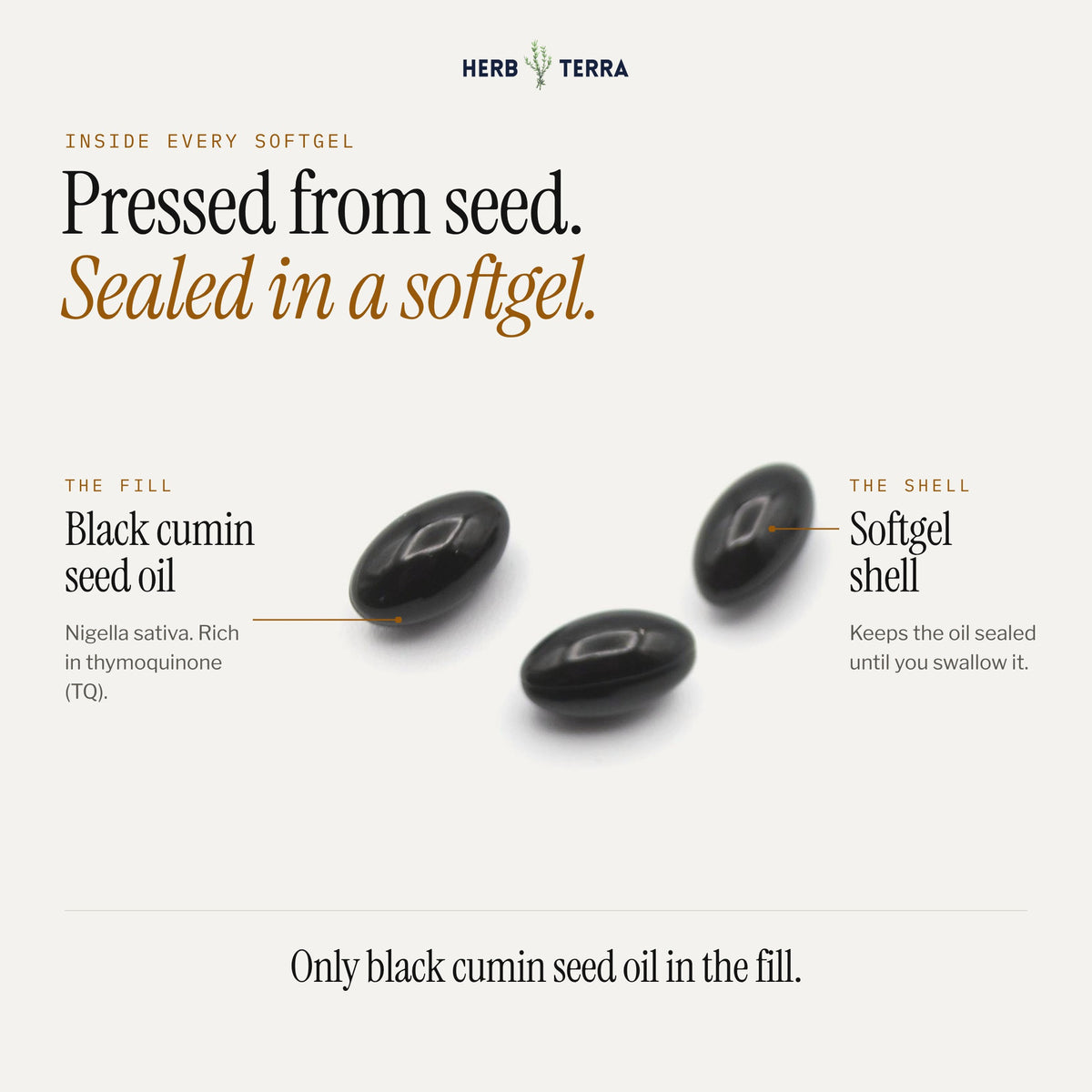 Herb Terra Black Seed Oil 120 softgels: close up of softgels, cold pressed seed oil inside