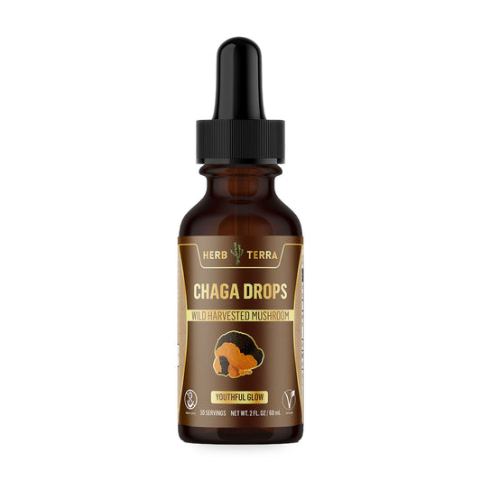 Herb Terra Chaga Mushroom Drops 60 mL: dropper bottle front on white background