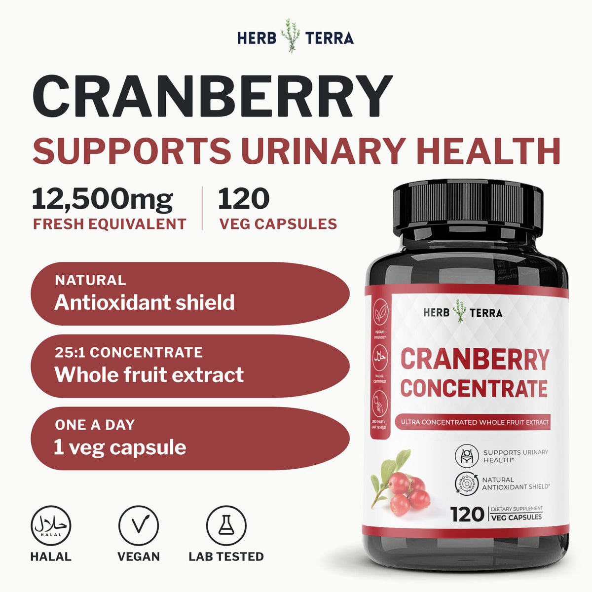 Herb Terra Cranberry Concentrate 120 veg capsules: cover with bottle, 12,500 mg fresh equivalent