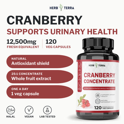 Herb Terra Cranberry Concentrate 120 veg capsules: cover with bottle, 12,500 mg fresh equivalent