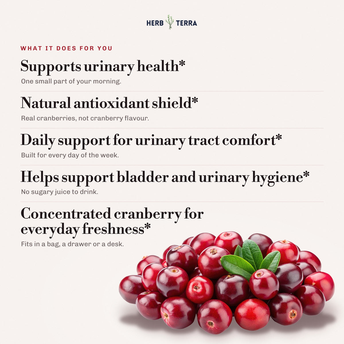 Herb Terra Cranberry Concentrate 120 veg capsules: fresh cranberries beside daily benefits list
