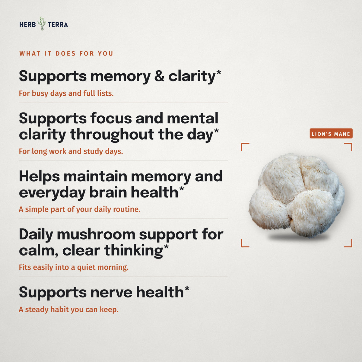 Herb Terra Lion's Mane Mushroom, 120 Veg Capsules: what it does panel with a lion's mane mushroom