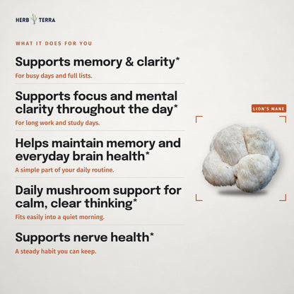 Herb Terra Lion's Mane Mushroom, 120 Veg Capsules: what it does panel with a lion's mane mushroom