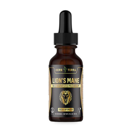 Herb Terra Lion's Mane Mushroom Drops, 60 mL: dropper bottle front on white background