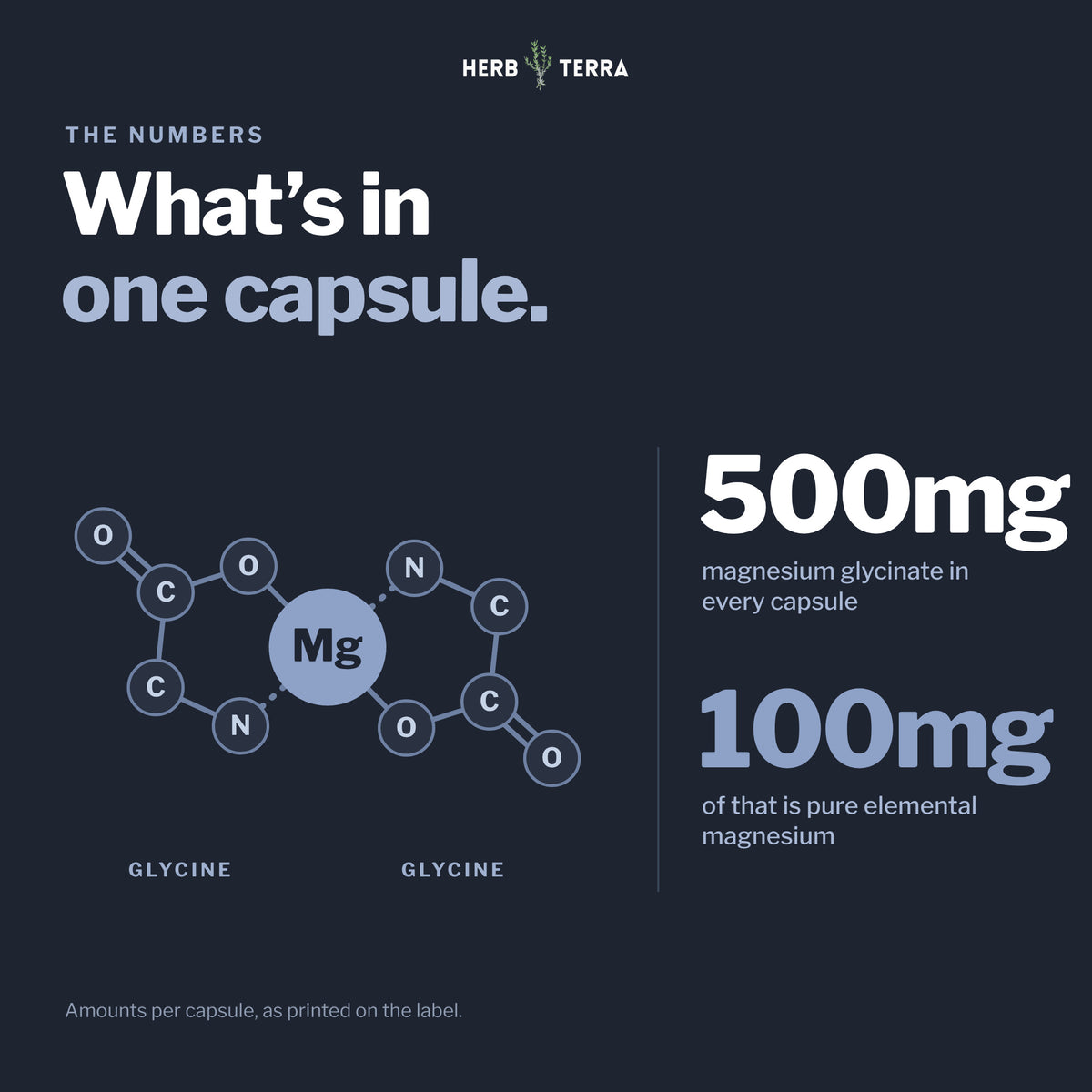 Herb Terra Magnesium Glycinate+, 60 Veg Capsules: 500 mg magnesium glycinate, 100 mg elemental magnesium per capsule