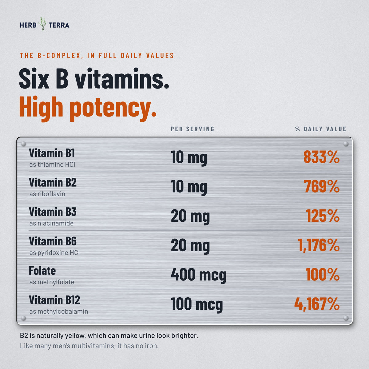 Herb Terra Men's Multivitamin, 120 Veg Capsules: six B vitamins with amount and daily value per serving