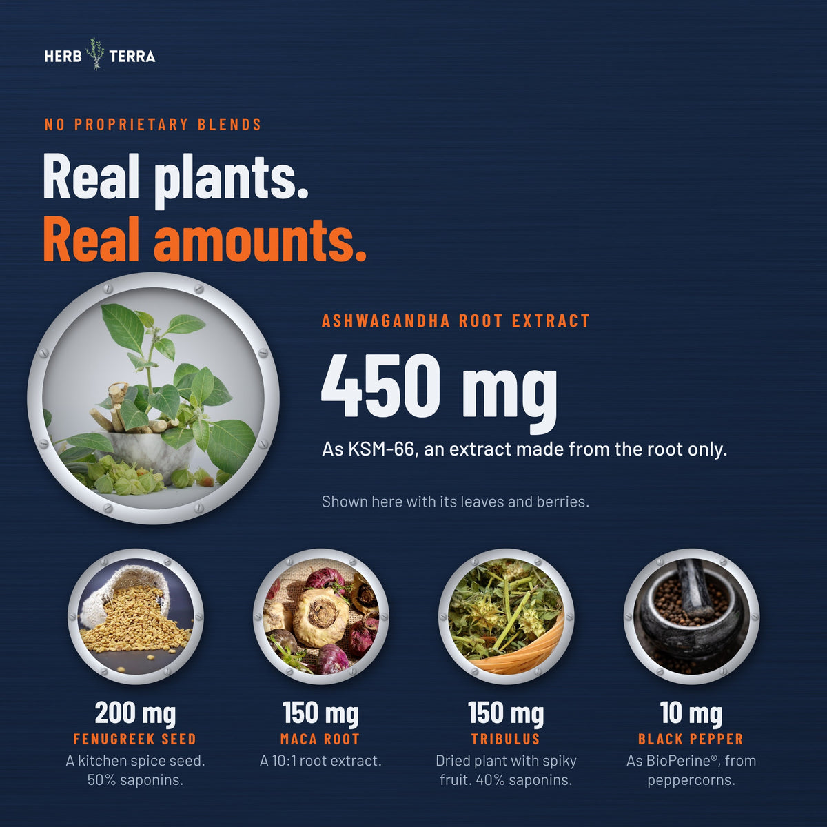 Herb Terra Men's Multivitamin, 120 Veg Capsules: herb amounts: KSM-66 ashwagandha, fenugreek, maca, tribulus and black pepper