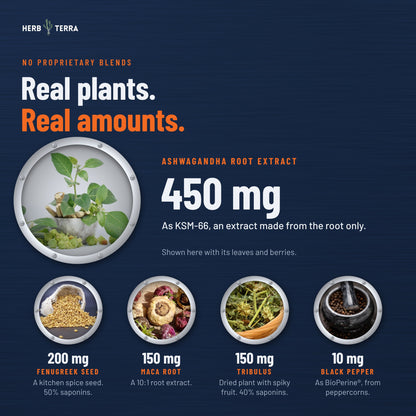 Herb Terra Men's Multivitamin, 120 Veg Capsules: herb amounts: KSM-66 ashwagandha, fenugreek, maca, tribulus and black pepper