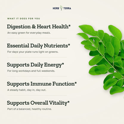 Herb Terra Moringa Leaf, 120 Veg Capsules: what it does panel with fresh moringa leaves
