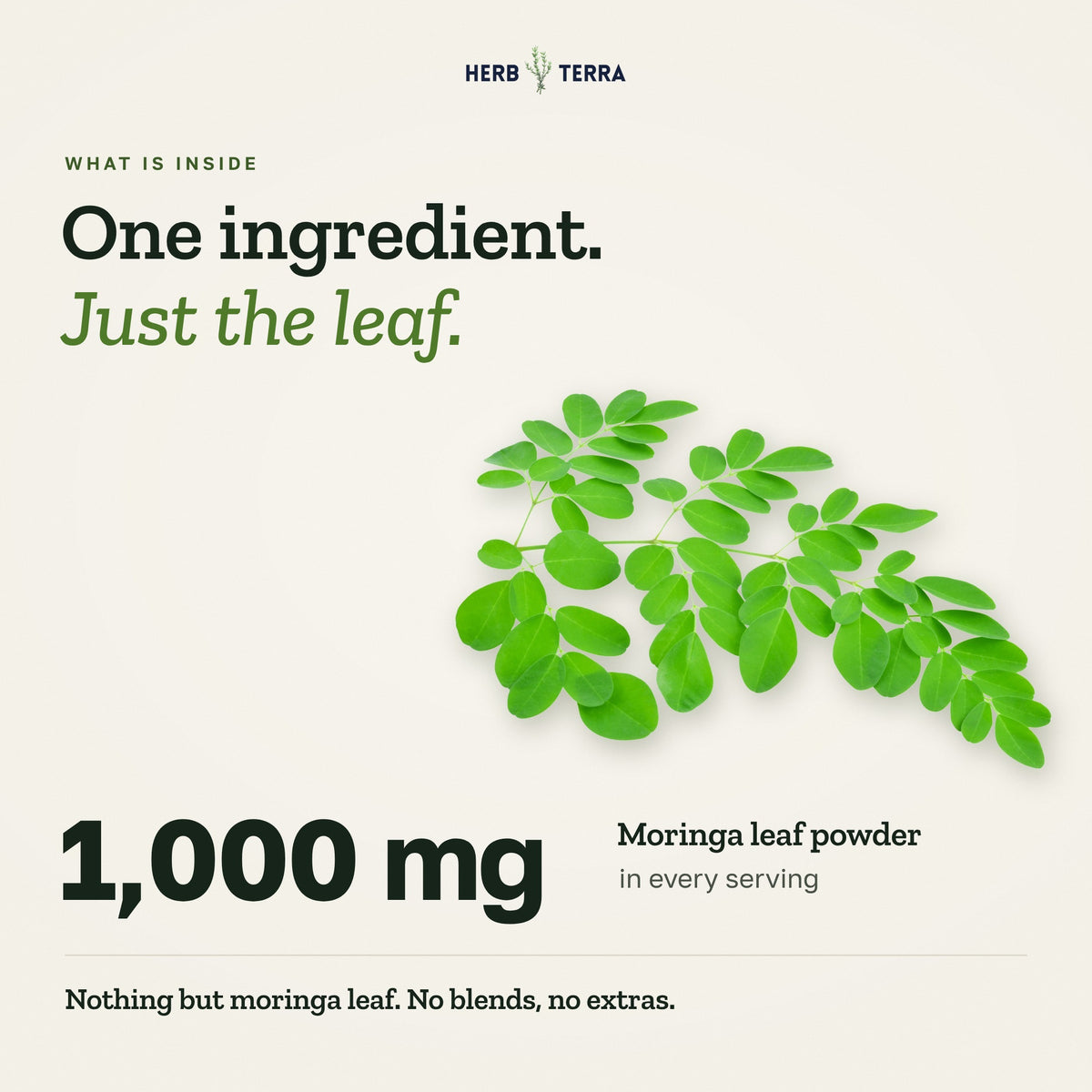 Herb Terra Moringa Leaf, 120 Veg Capsules: one ingredient, 1,000 mg moringa leaf powder in every serving