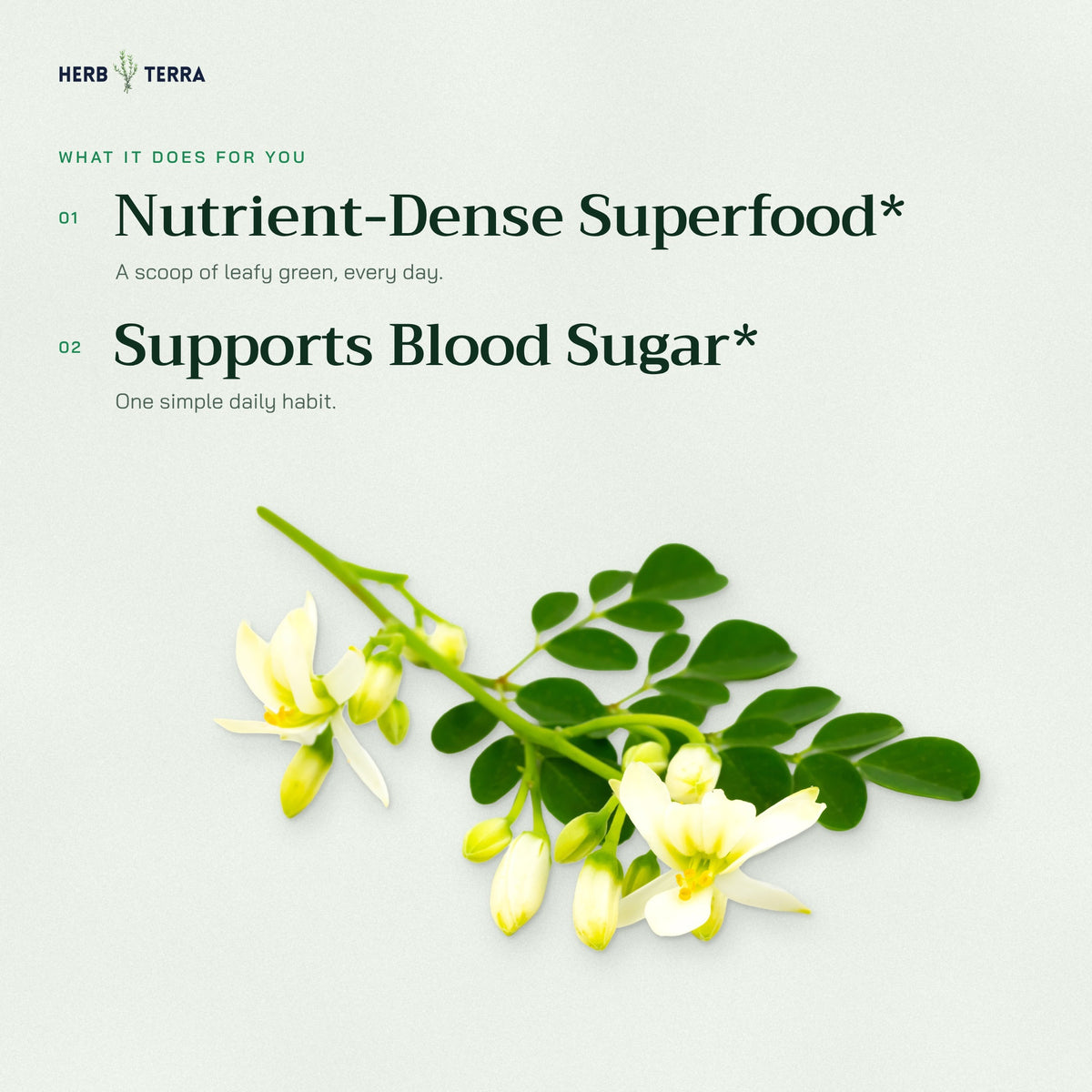 Herb Terra Moringa Leaf Powder, 100 g Pouch: what it does panel with moringa flowers and leaves