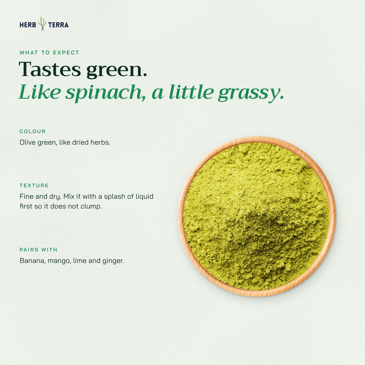 Herb Terra Moringa Leaf Powder, 100 g Pouch: taste and texture notes with a bowl of green moringa powder