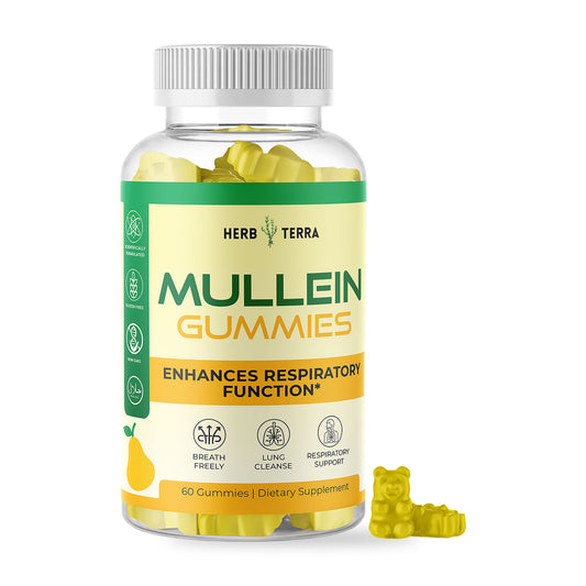 Herb Terra Mullein Leaf and Honey Gummies, 60 Gummies: jar front on white background