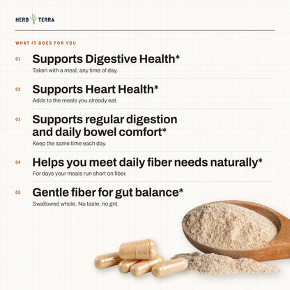Herb Terra Psyllium Husk 120 Veg Capsules: what it does for you list with capsules and psyllium powder