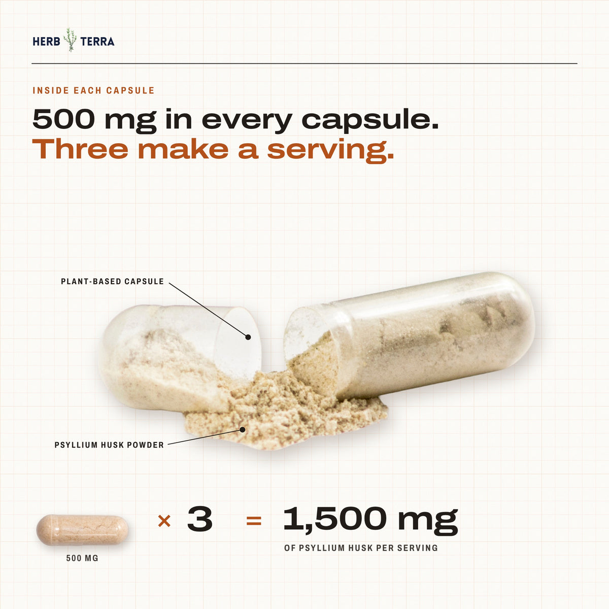 Herb Terra Psyllium Husk 120 Veg Capsules: open capsule with psyllium powder, three capsules make 1,500 mg