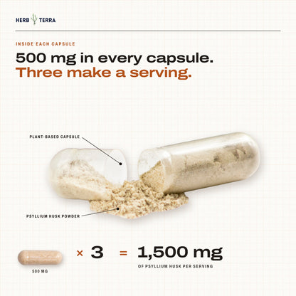 Herb Terra Psyllium Husk 120 Veg Capsules: open capsule with psyllium powder, three capsules make 1,500 mg