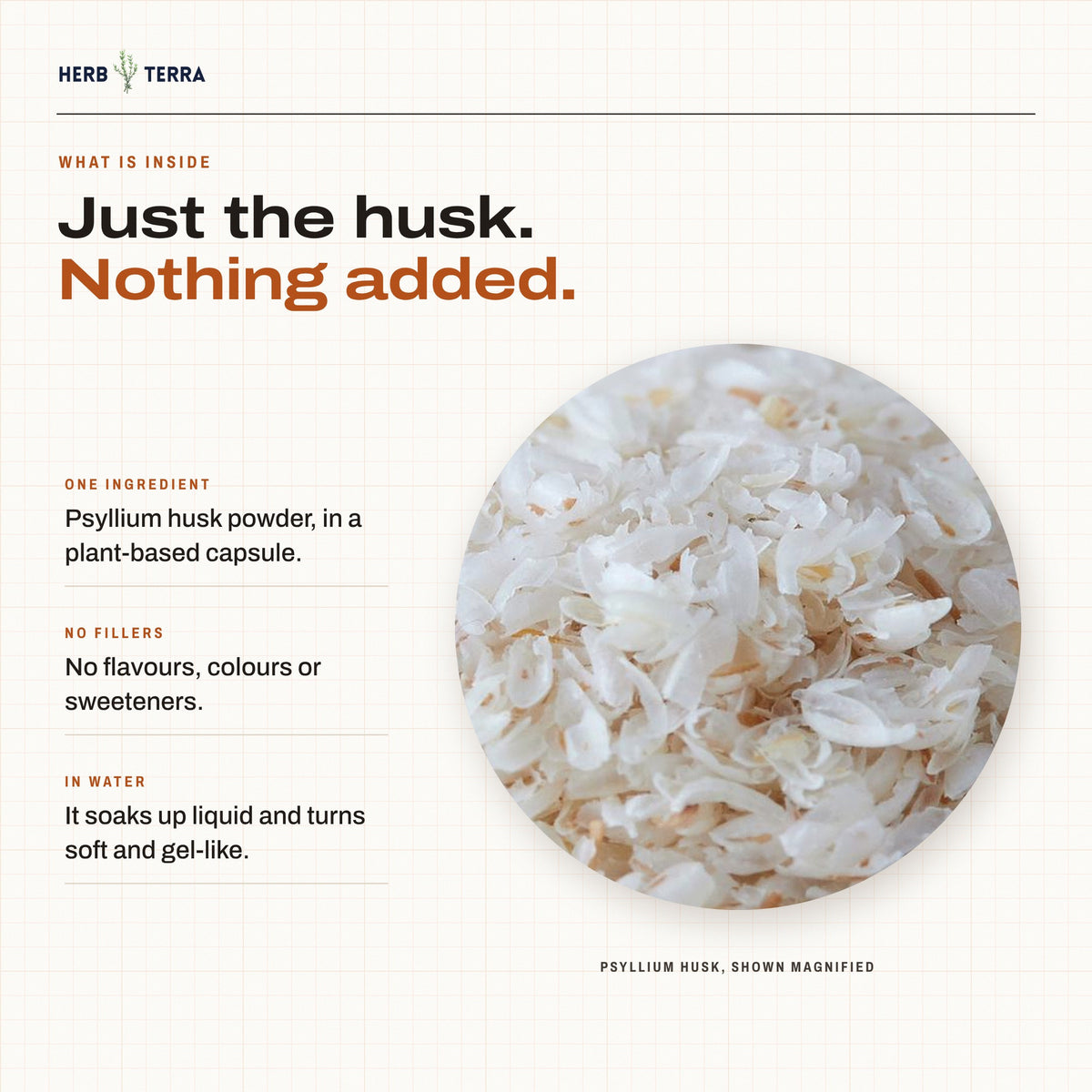 Herb Terra Psyllium Husk 120 Veg Capsules: magnified psyllium husk, one ingredient with no fillers