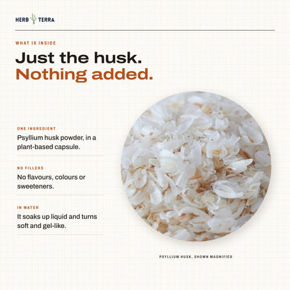 Herb Terra Psyllium Husk 120 Veg Capsules: magnified psyllium husk, one ingredient with no fillers