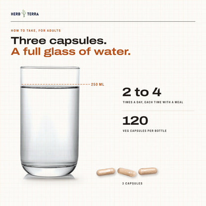 Herb Terra Psyllium Husk 120 Veg Capsules: how to take, three capsules with a full glass of water