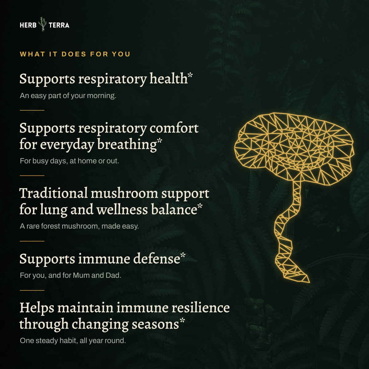 Herb Terra Tiger Milk Mushroom 80 Veg Capsules: what it does for you list with gold mushroom line art