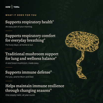 Herb Terra Tiger Milk Mushroom 80 Veg Capsules: what it does for you list with gold mushroom line art