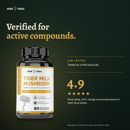 Herb Terra Tiger Milk Mushroom 80 Veg Capsules: bottle on dark green background, third party lab tested