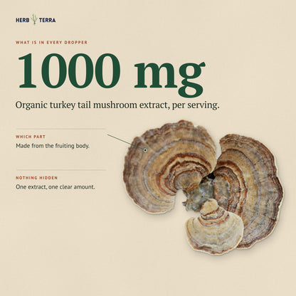 Herb Terra Turkey Tail Mushroom Drops 60 mL: 1,000 mg organic turkey tail extract from the fruiting body