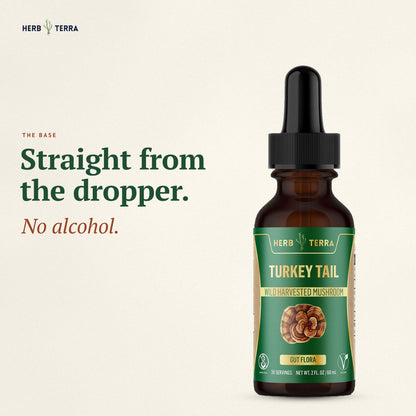 Herb Terra Turkey Tail Mushroom Drops 60 mL: dropper bottle with no alcohol base