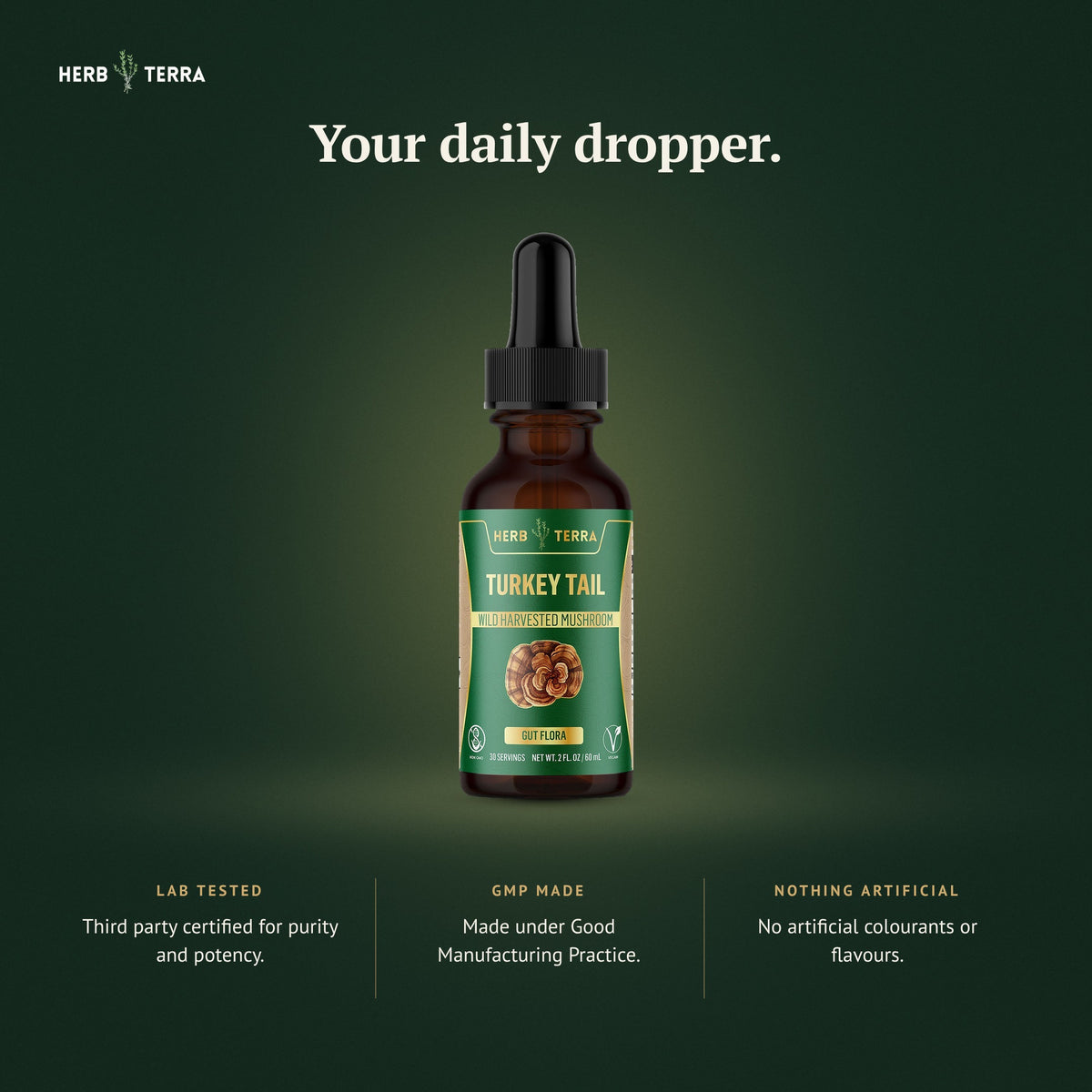 Herb Terra Turkey Tail Mushroom Drops 60 mL: dropper bottle on dark green background, lab tested and GMP made