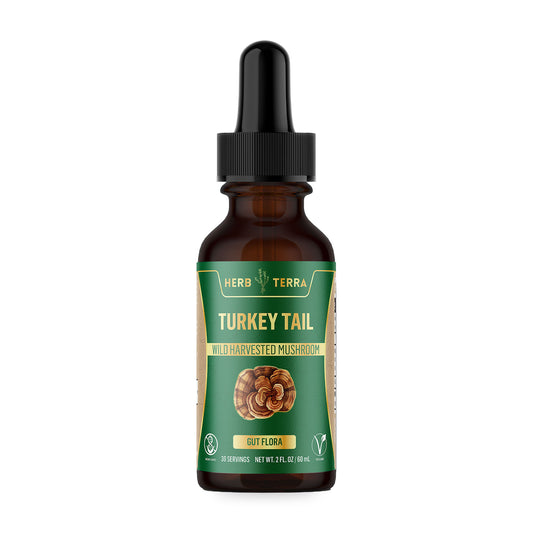 Herb Terra Turkey Tail Mushroom Drops 60 mL: bottle front on white background