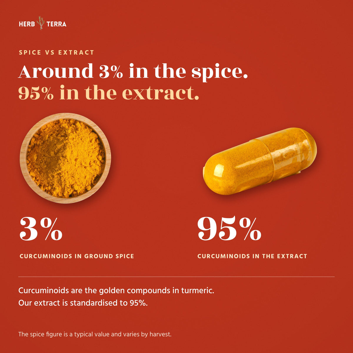 Herb Terra Turmeric Curcumin with BioPerine 120 Veg Capsules: 3% curcuminoids in the spice versus 95% in the extract