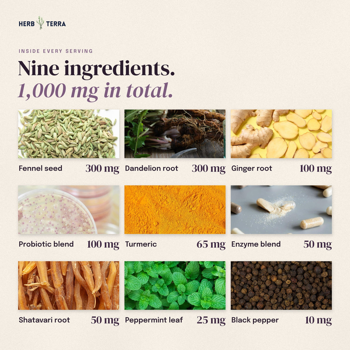 Herb Terra Un-Bloat Enzymes and Probiotics 60 Veg Capsules: nine ingredients and amounts, 1,000 mg in total